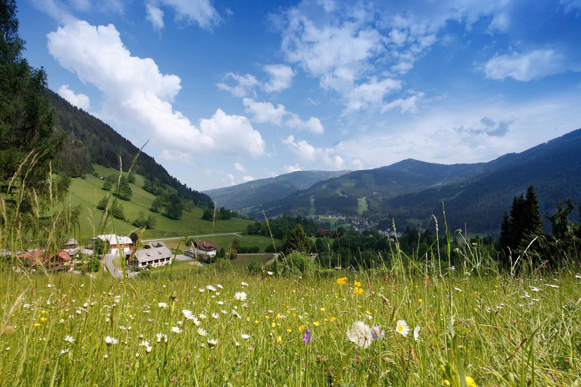 Pension & Appartements Ronacherhof Bad Kleinkirchheim Exteriér fotografie